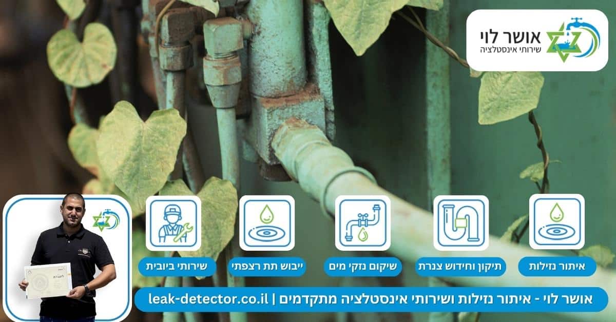 איך מונעים מצמחים ושורשים לחדור מחדש לצנרת הביוב?