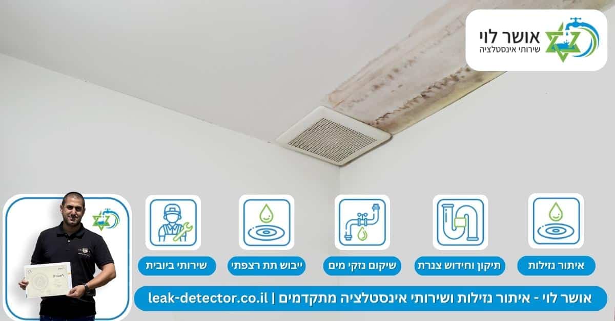 להלן המקורות הנפוצים לנזילות: