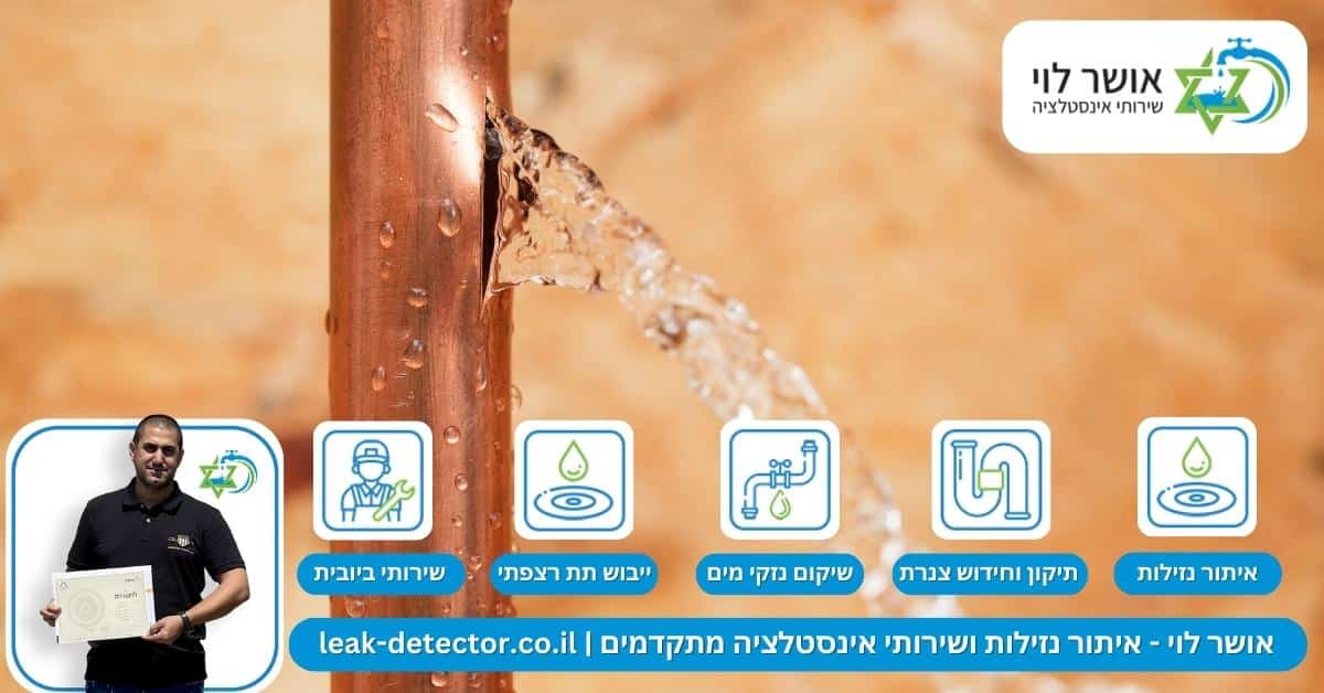 כמה מילים על חשיבות השימוש בטכנולוגיית איתור דליפות: כלים וטכניקות לזיהוי מדויק של נזילות מים וביוב 