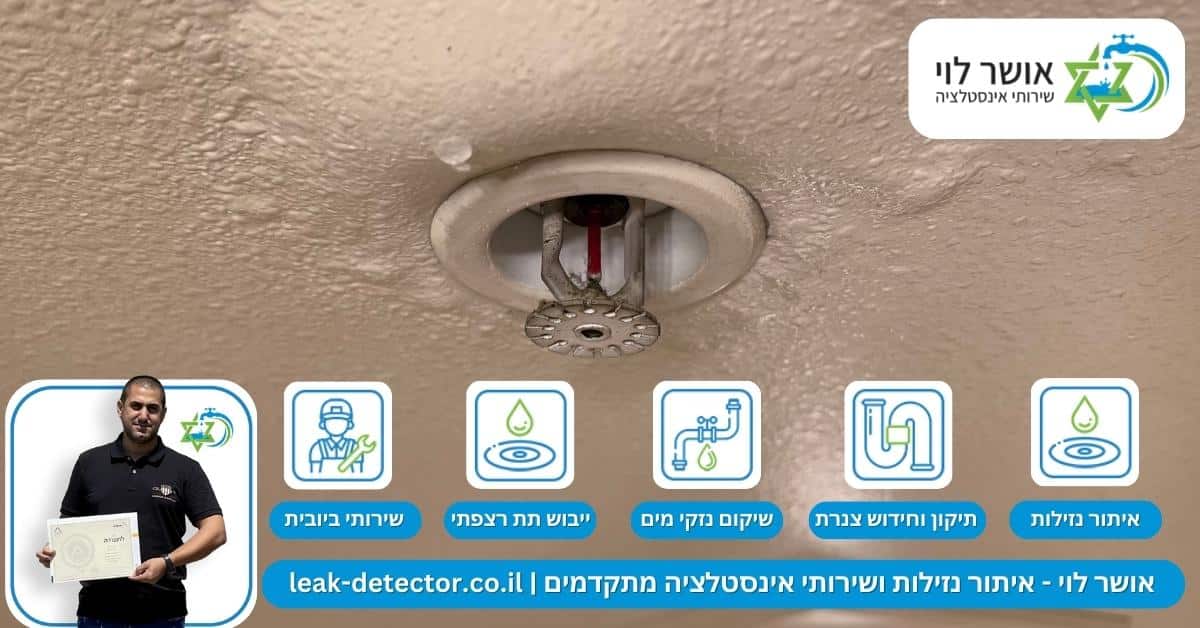מה עושים מרגע שמבחינים בסימנים לדליפת מים נסתרת בבית? 