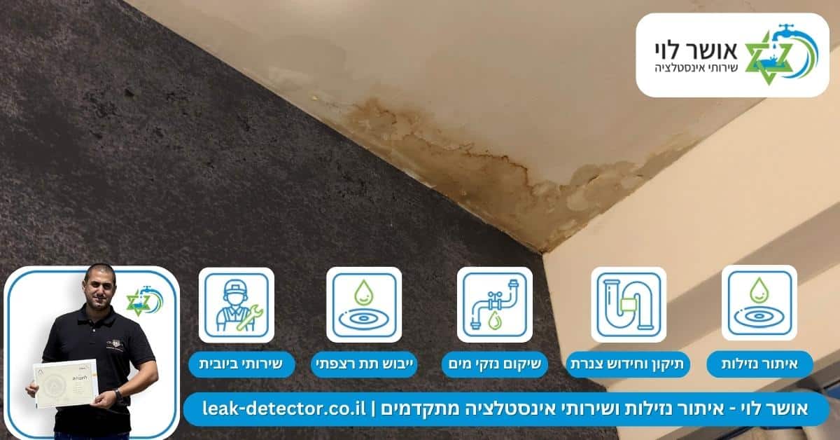 אינדיקטורים לרטיבות ונזילות מים שחשוב לשים אליהם לב 
