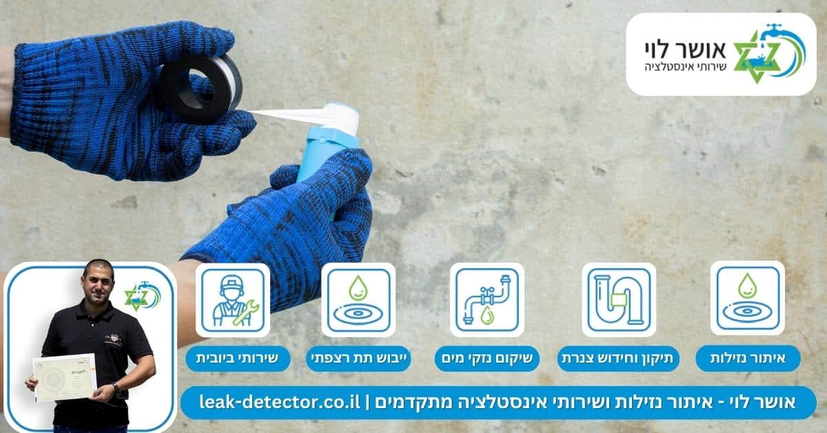 כיצד מומחה לאיתור נזילות יכולה לסייע באיתור ותיקון נזילות בקווי ביוב בשלביהן המוקדמים? 