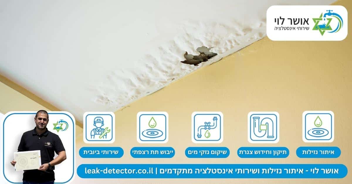 לאילו נזקים נזילות בבניין דירות עלולות לגרום? 