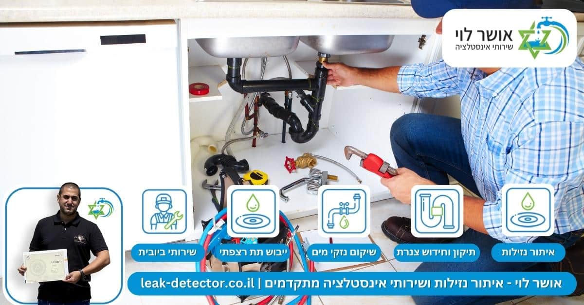 "תגידי, את סתומה?" כשמערכת הביוב שלכם לא עומדת בקצב