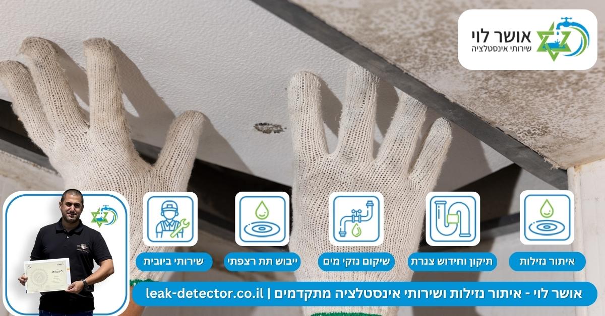 לאילו נזקים יכולות לגרום נזילות מים במבנים מסחריים?