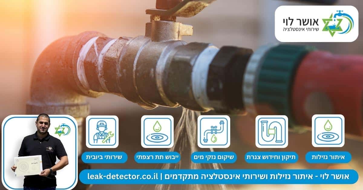 אילו סיכונים קיימים בנזילות בחצר הבית? 