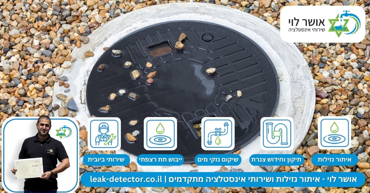 הערכת קיבולת מערכת הביוב