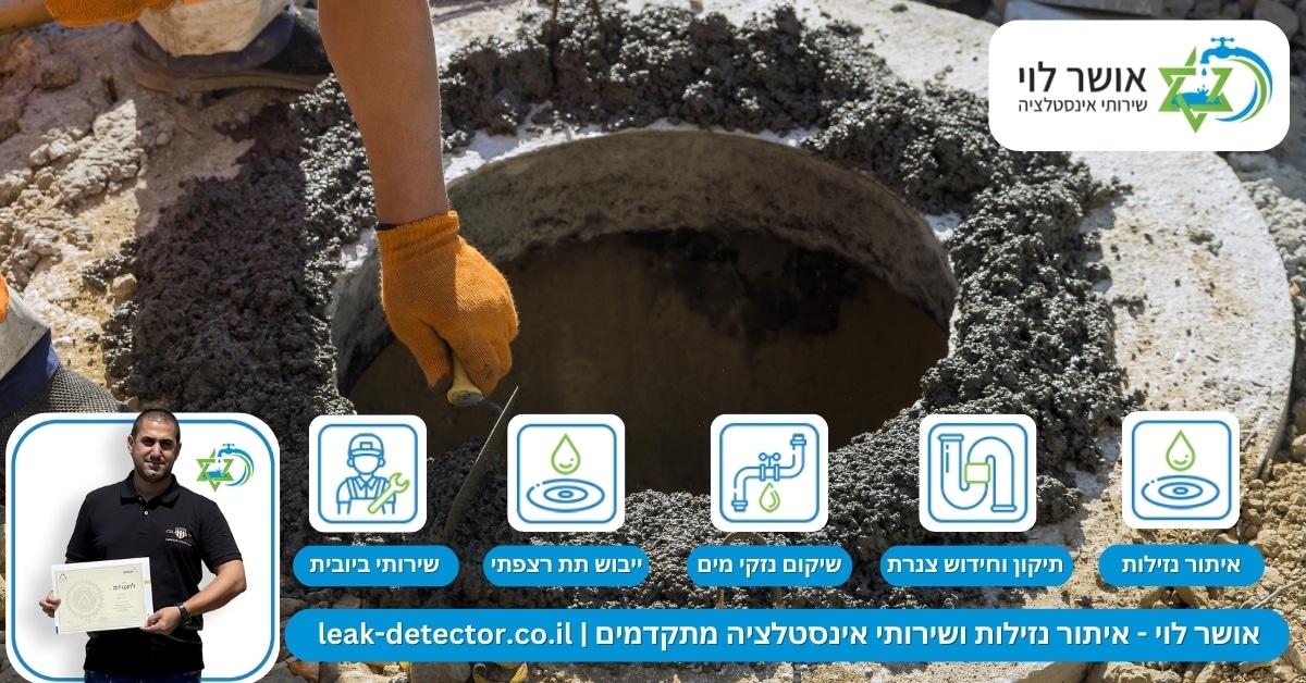 הערכת קיבולת מערכת הביוב