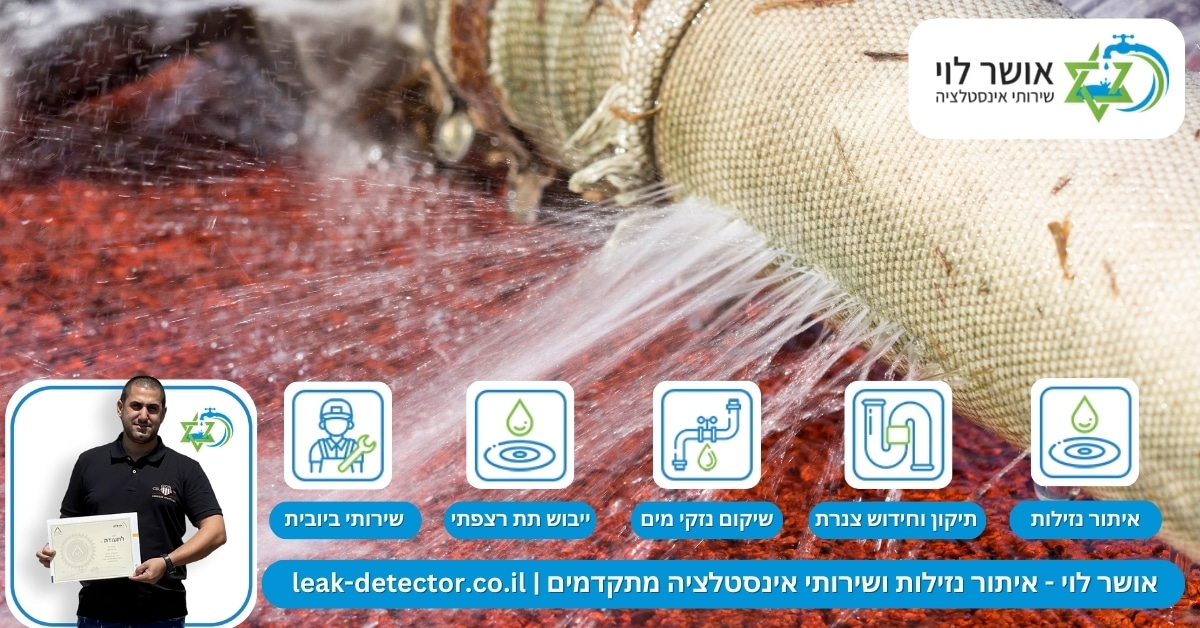 איתור נזילות בירושלים 