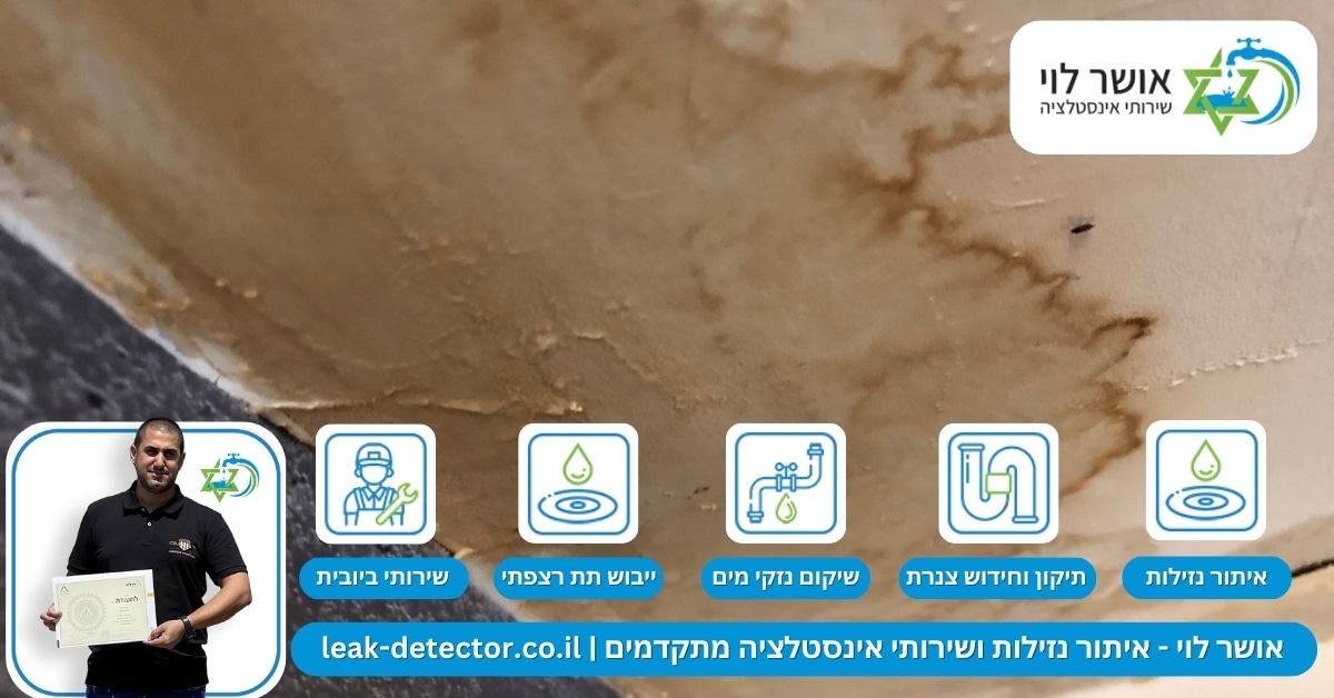 איתור נזילות מים בקרית מוצקין - למה זה חשוב ואיך תעשו את זה נכון (1)
