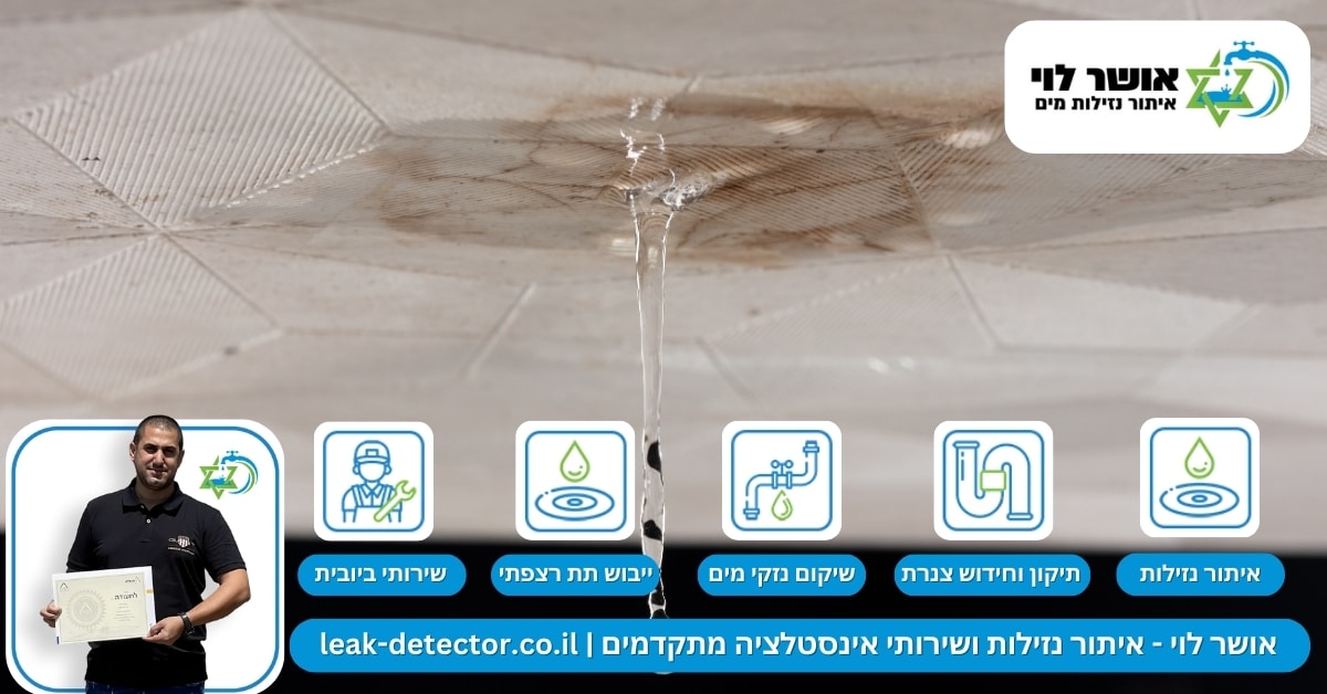 איתור נזילות מחוץ למבנים