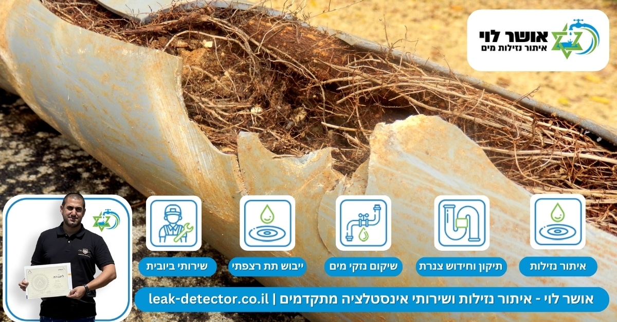 שורשים בביוב